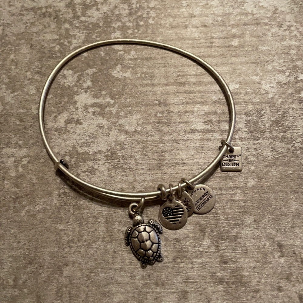 Turtle Bracelet